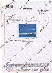 SGS test report of Plastic seal CH309 